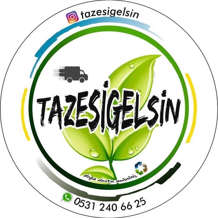 TazesiGelsin